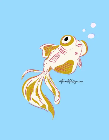 Cute Telescope Goldfish